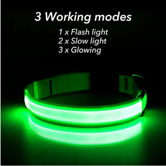 Pawora LED Safety Dog Collar 🐕✨ — USB Rechargeable Night Glow
