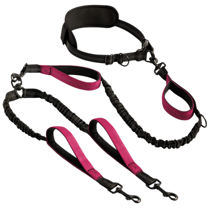 PurePlayPaws™ Hands-Free Dual Dog Leash 🐕🐕 — Shock-Absorbing & Tangle-Free