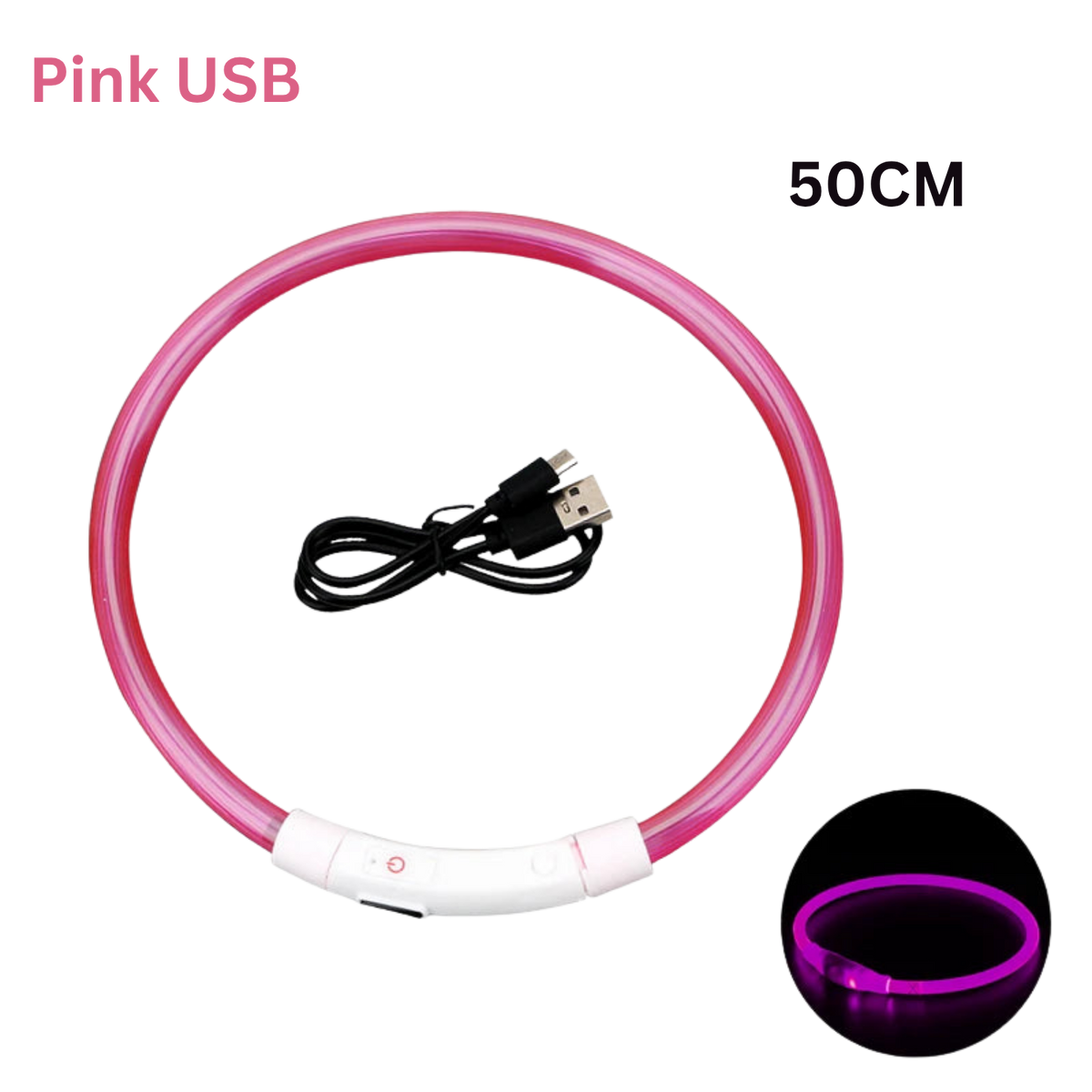 Pawora LED Safety Dog Collar 🐕✨ — USB Rechargeable Night Glow