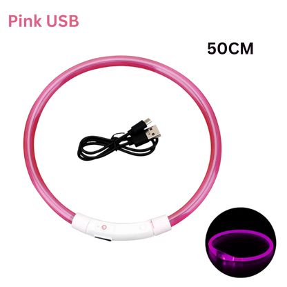 Pawora LED Safety Dog Collar 🐕✨ — USB Rechargeable Night Glow