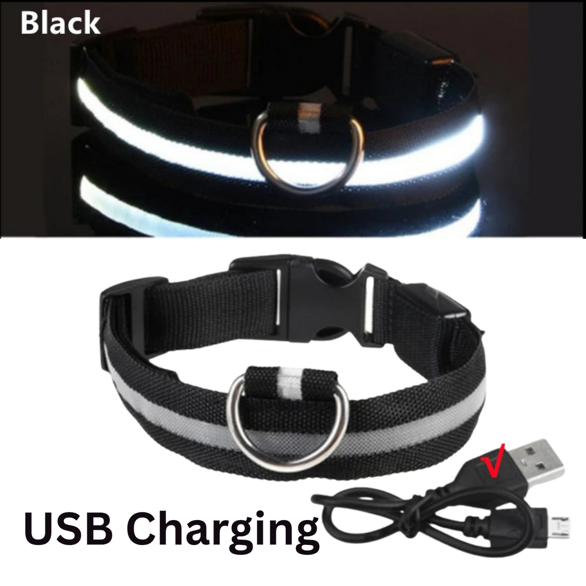 Pawora LED Safety Dog Collar 🐕✨ — USB Rechargeable Night Glow