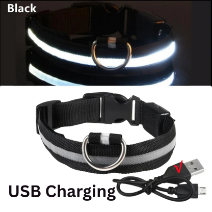 Pawora LED Safety Dog Collar 🐕✨ — USB Rechargeable Night Glow