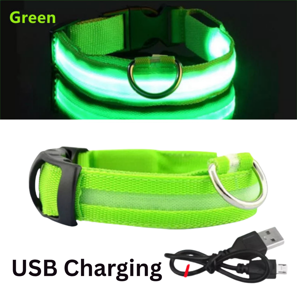 Pawora LED Safety Dog Collar 🐕✨ — USB Rechargeable Night Glow
