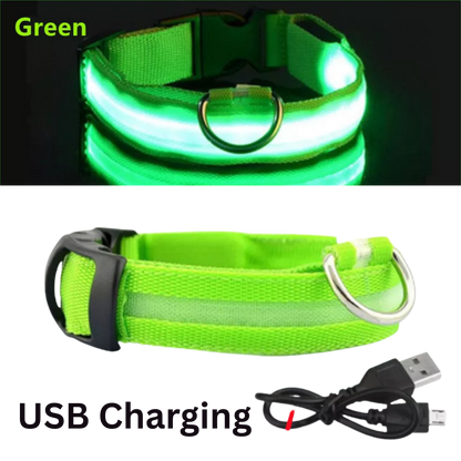 Pawora LED Safety Dog Collar 🐕✨ — USB Rechargeable Night Glow