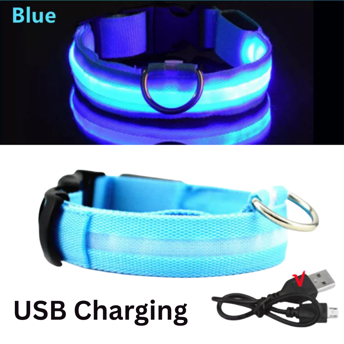 Pawora LED Safety Dog Collar 🐕✨ — USB Rechargeable Night Glow