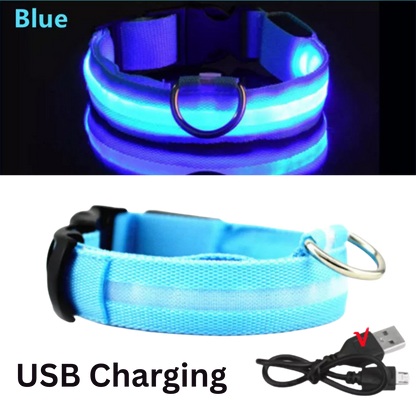 Pawora LED Safety Dog Collar 🐕✨ — USB Rechargeable Night Glow