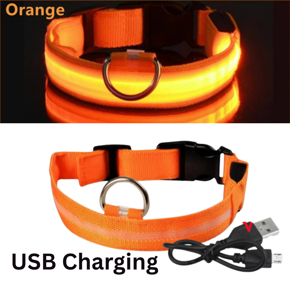 Pawora LED Safety Dog Collar 🐕✨ — USB Rechargeable Night Glow