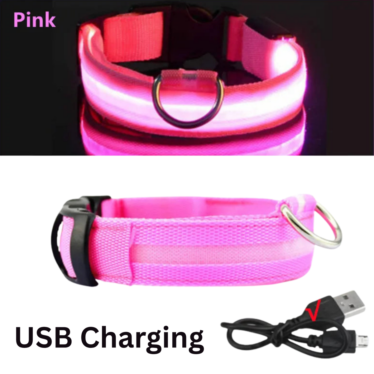 Pawora LED Safety Dog Collar 🐕✨ — USB Rechargeable Night Glow