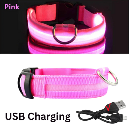 Pawora LED Safety Dog Collar 🐕✨ — USB Rechargeable Night Glow