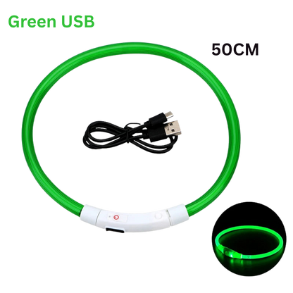Pawora LED Safety Dog Collar 🐕✨ — USB Rechargeable Night Glow