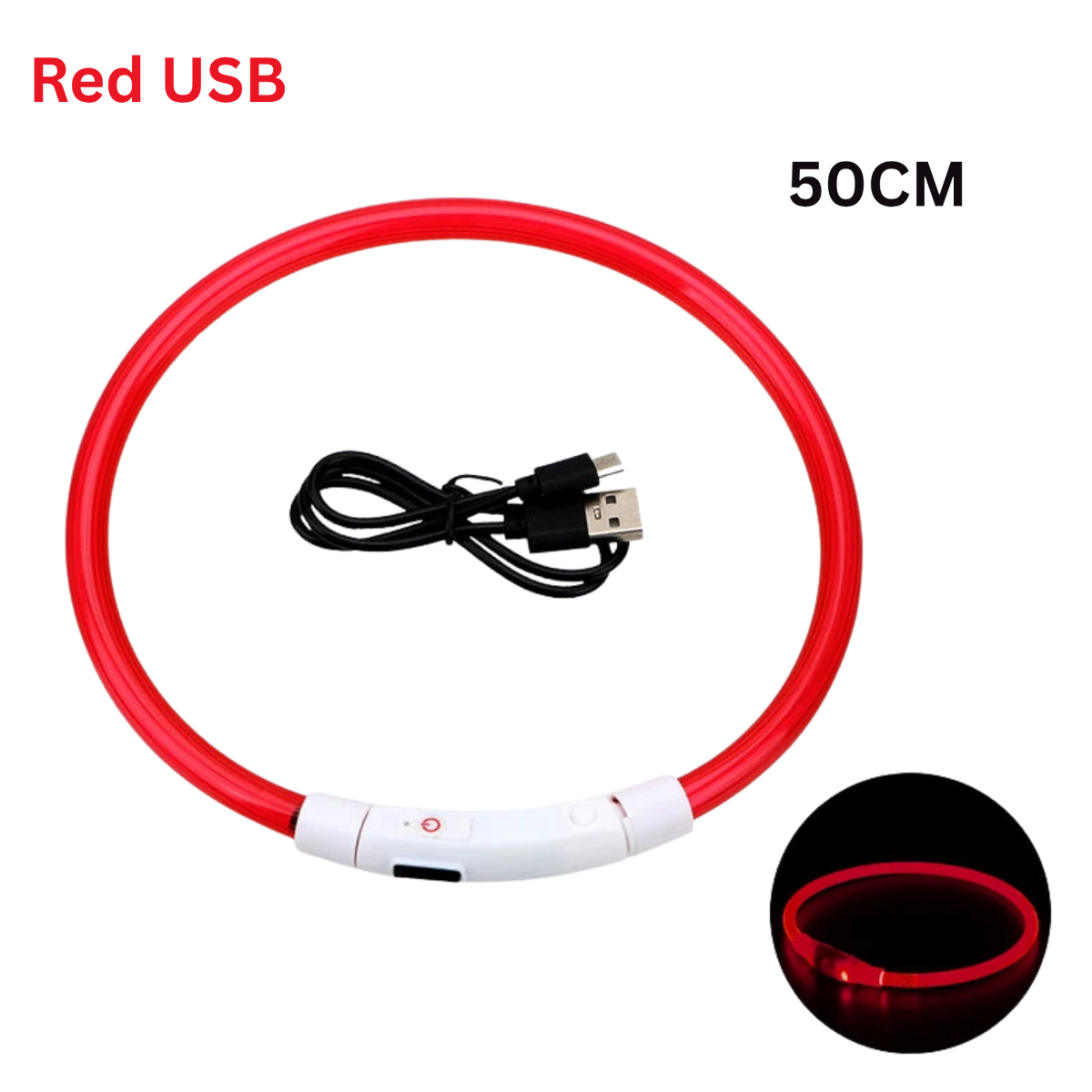 Pawora LED Safety Dog Collar 🐕✨ — USB Rechargeable Night Glow