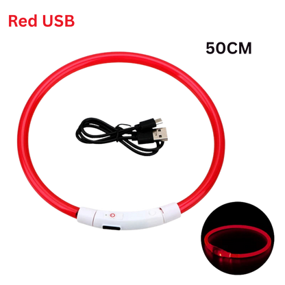 Pawora LED Safety Dog Collar 🐕✨ — USB Rechargeable Night Glow