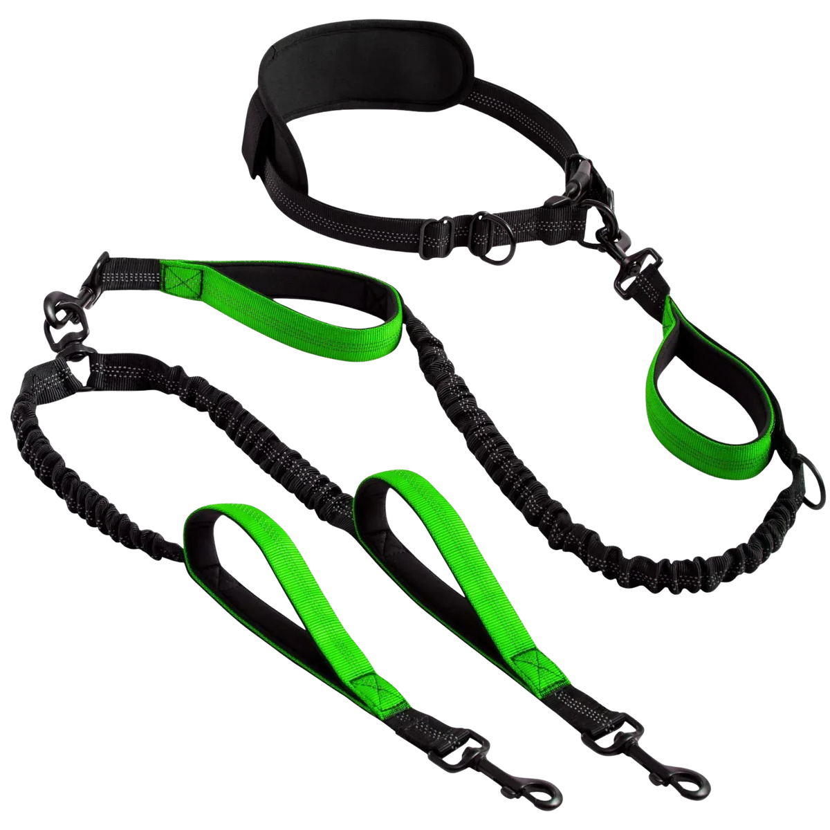 PurePlayPaws™ Hands-Free Dual Dog Leash 🐕🐕 — Shock-Absorbing & Tangle-Free