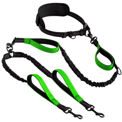 PurePlayPaws™ Hands-Free Dual Dog Leash 🐕🐕 — Shock-Absorbing & Tangle-Free