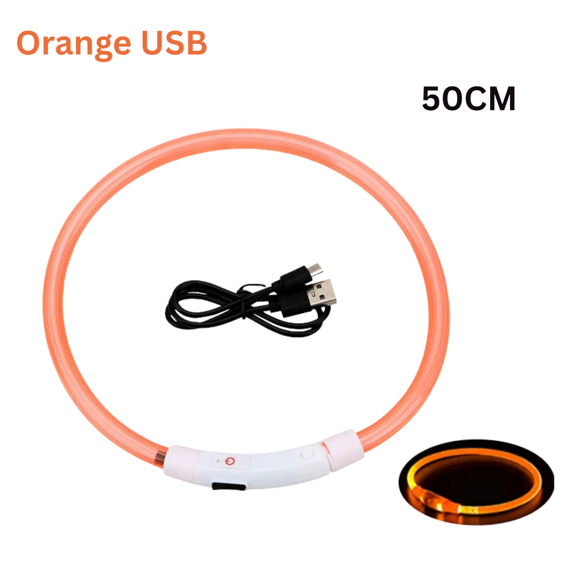 Pawora LED Safety Dog Collar 🐕✨ — USB Rechargeable Night Glow