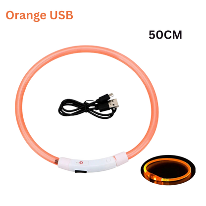 Pawora LED Safety Dog Collar 🐕✨ — USB Rechargeable Night Glow