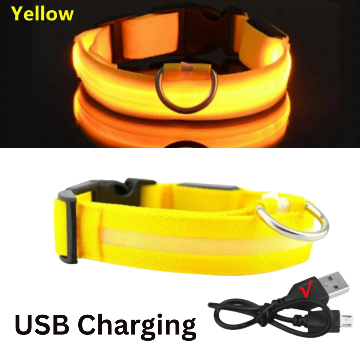 Pawora LED Safety Dog Collar 🐕✨ — USB Rechargeable Night Glow