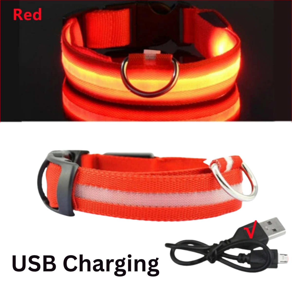 Pawora LED Safety Dog Collar 🐕✨ — USB Rechargeable Night Glow