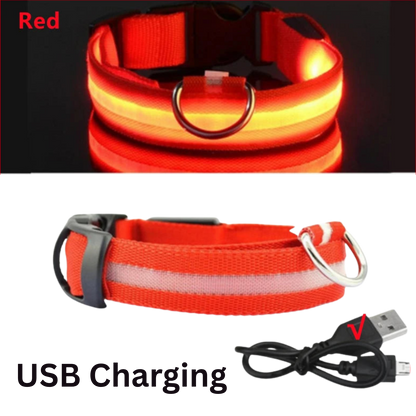 Pawora LED Safety Dog Collar 🐕✨ — USB Rechargeable Night Glow