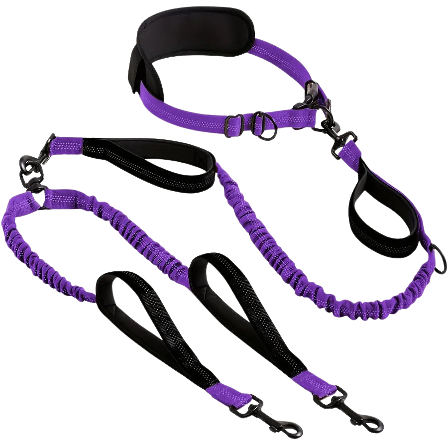 PurePlayPaws™ Hands-Free Dual Dog Leash 🐕🐕 — Shock-Absorbing & Tangle-Free
