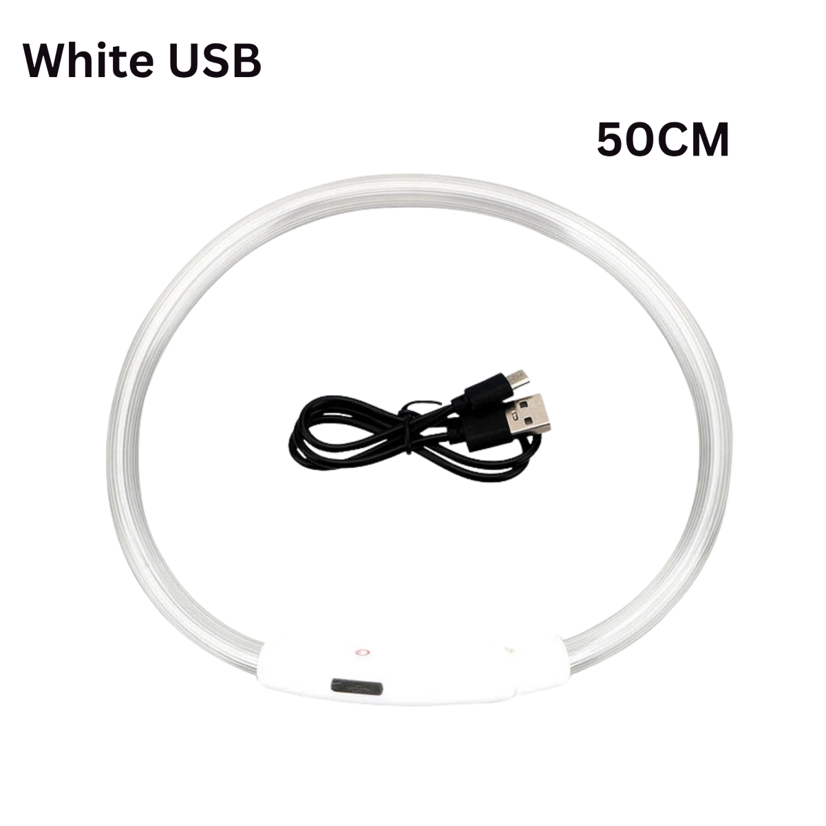 Pawora LED Safety Dog Collar 🐕✨ — USB Rechargeable Night Glow