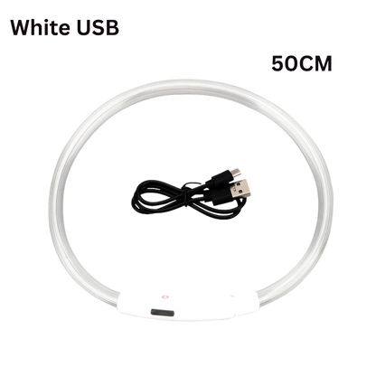 Pawora LED Safety Dog Collar 🐕✨ — USB Rechargeable Night Glow