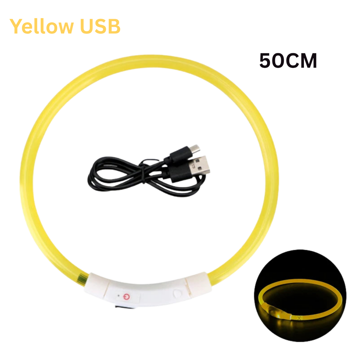 Pawora LED Safety Dog Collar 🐕✨ — USB Rechargeable Night Glow
