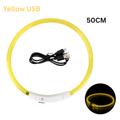 Pawora LED Safety Dog Collar 🐕✨ — USB Rechargeable Night Glow