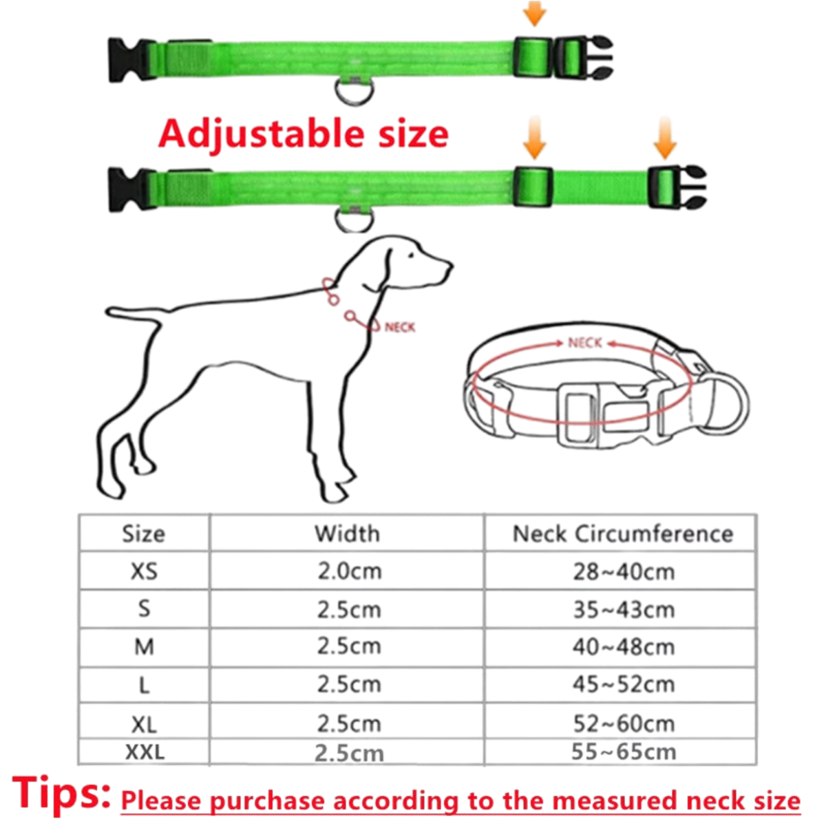 Pawora LED Safety Dog Collar 🐕✨ — USB Rechargeable Night Glow