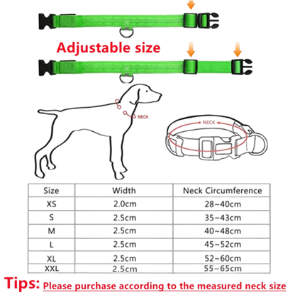 Pawora LED Safety Dog Collar 🐕✨ — USB Rechargeable Night Glow