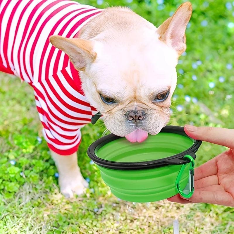 Pawora Collapsible Travel Pet Bowl 🐾 — Portable Food & Water Bowl for Dogs & Cats