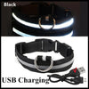 USB Rechargeable LED Dog Collar — Night Safety Glow