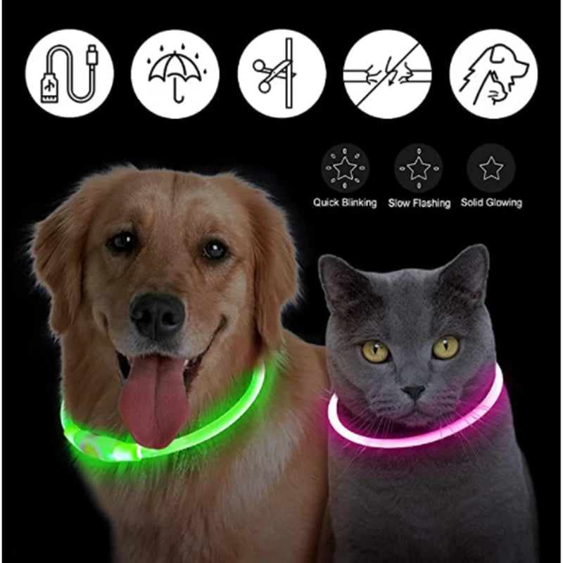 Pawora LED Safety Dog Collar 🐕✨ — USB Rechargeable Night Glow