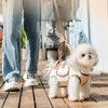 AdventurePup™ 3-in-1 Harness Set 🦦✨ — Backpack, Leash & Harness in One
