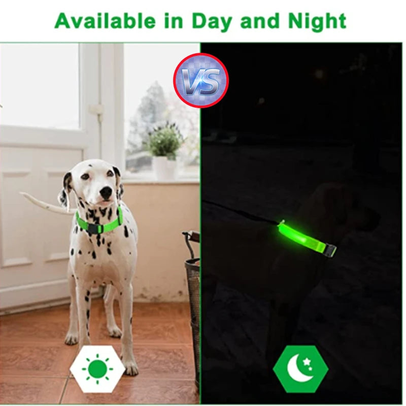 Pawora LED Safety Dog Collar 🐕✨ — USB Rechargeable Night Glow
