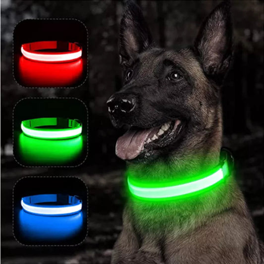 Pawora LED Safety Dog Collar 🐕✨ — USB Rechargeable Night Glow