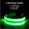 USB Rechargeable LED Dog Collar — Night Safety Glow