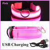 USB Rechargeable LED Dog Collar — Night Safety Glow