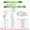 USB Rechargeable LED Dog Collar — Night Safety Glow