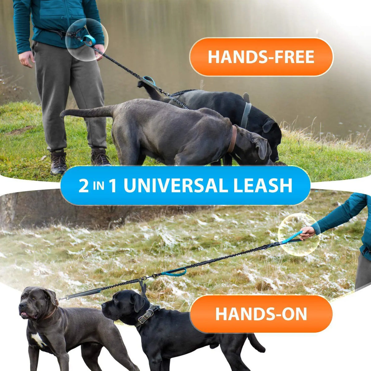 PurePlayPaws™ Hands-Free Dual Dog Leash 🐕🐕 — Shock-Absorbing & Tangle-Free