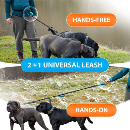 PurePlayPaws™ Hands-Free Dual Dog Leash 🐕🐕 — Shock-Absorbing & Tangle-Free