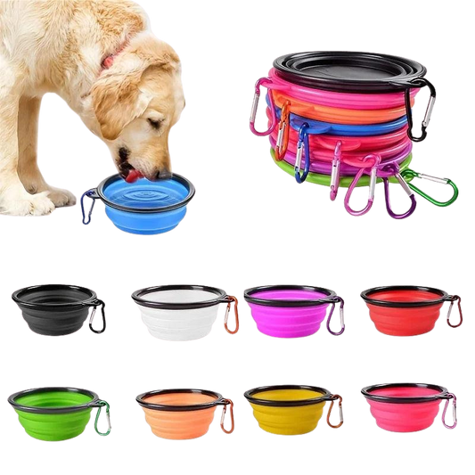 Pawora Collapsible Travel Pet Bowl 🐾 — Portable Food & Water Bowl for Dogs & Cats