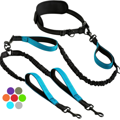 PurePlayPaws™ Hands-Free Dual Dog Leash 🐕🐕 — Shock-Absorbing & Tangle-Free